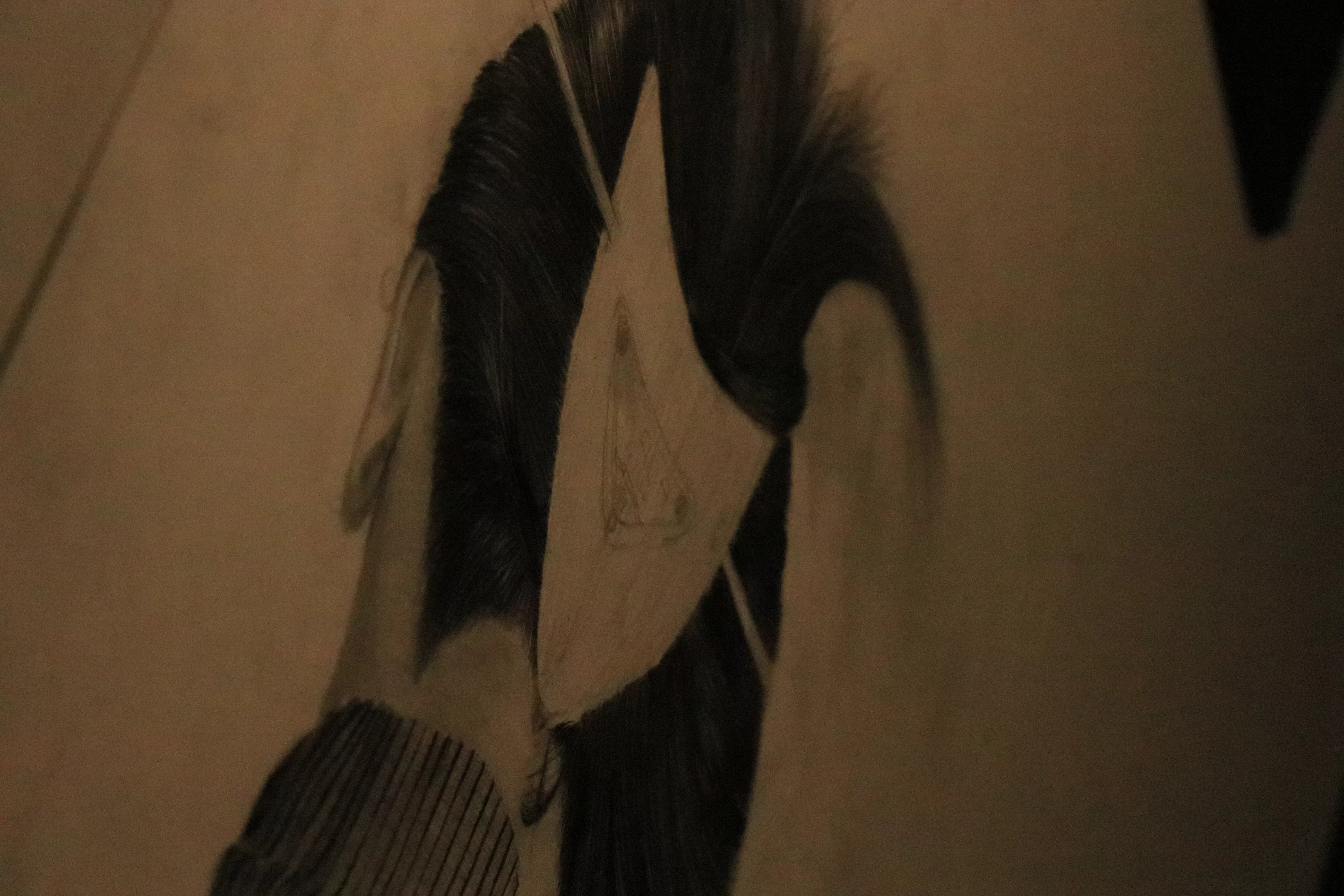 Unbekannte Eleganz detail