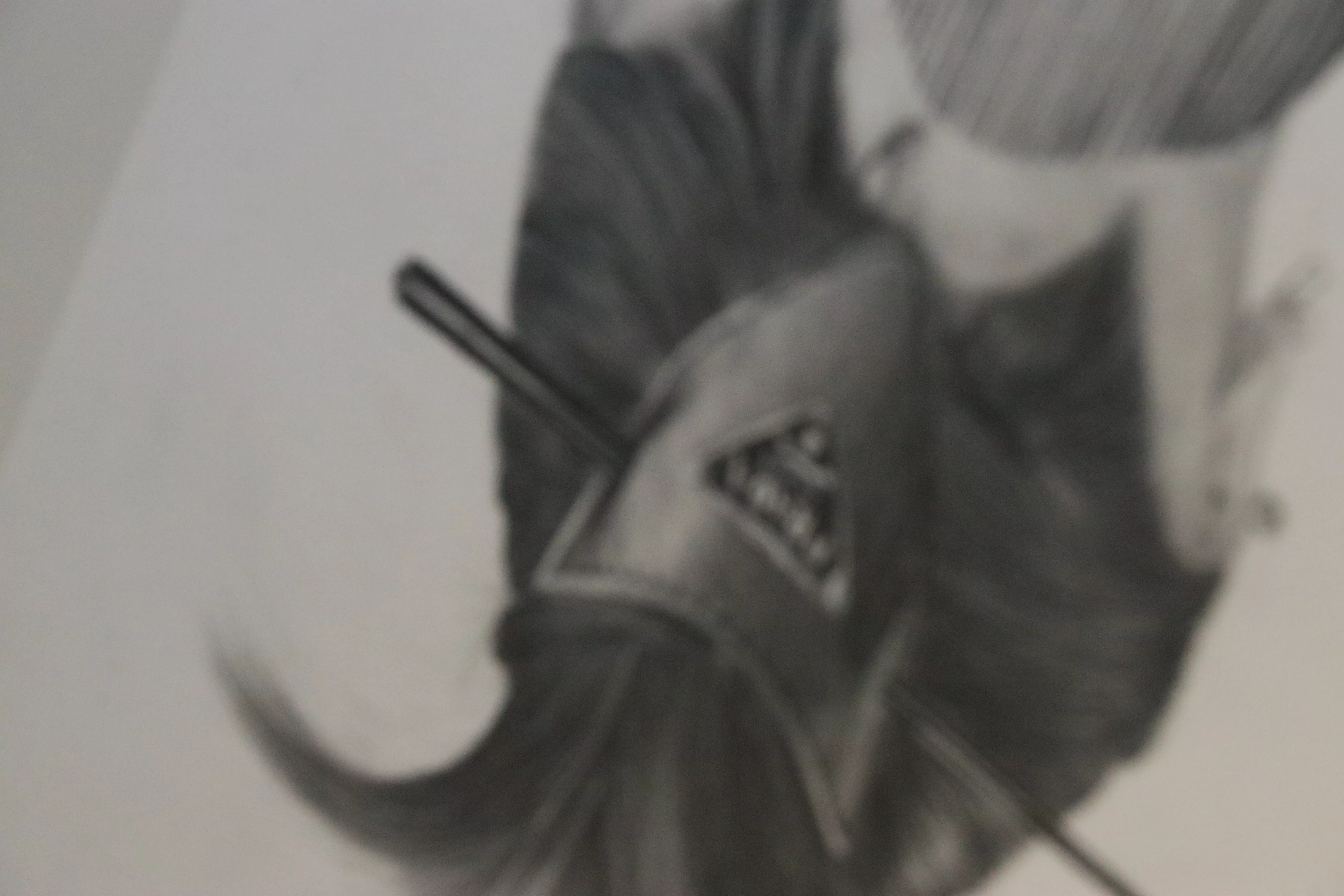 Unbekannte Eleganz detail