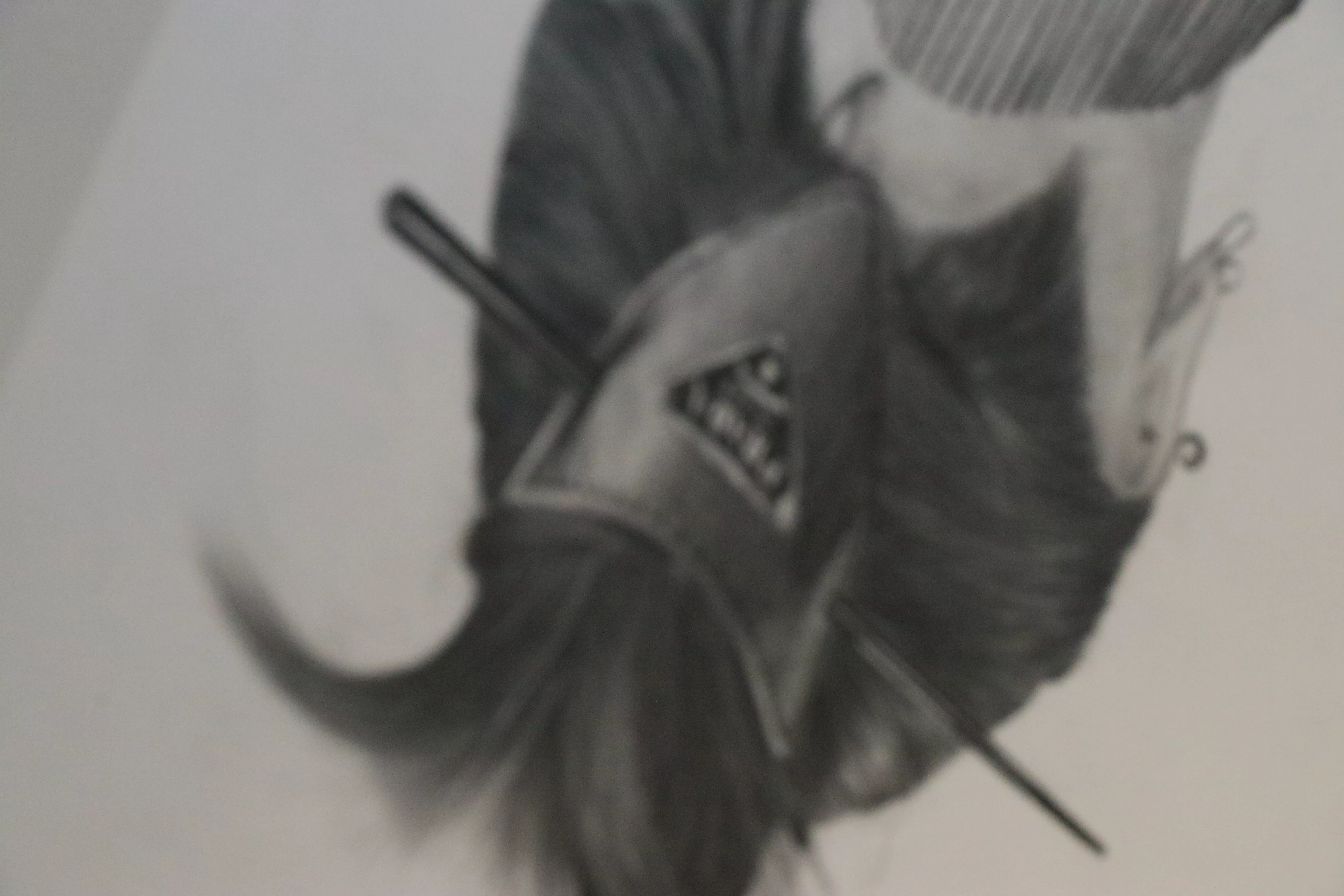Unbekannte Eleganz detail